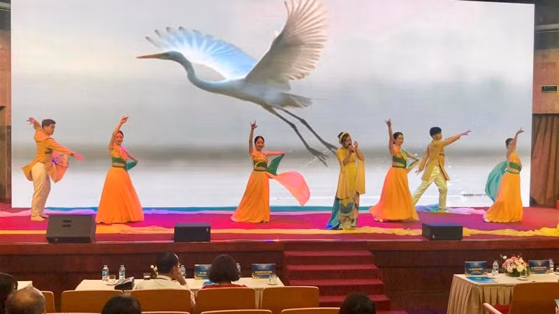 Một tiết mục đơn ca được trình diễn tại Liên hoan.