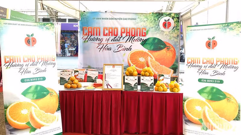 Cam Cao Phong. (Ảnh minh họa: nhandan.vn)