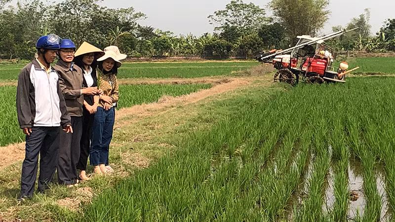 Nông dân tỉnh Thái Bình áp dụng cơ giới hóa vào sản xuất lúa.