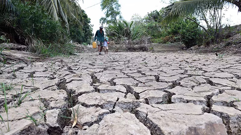 Do ảnh hưởng của biến đổi khí hậu, hạn hán, xâm nhập mặn đến sớm và nghiêm trọng hơn tại các địa phương vùng đồng bằng sông Cửu Long. (Ảnh Viết Chung)