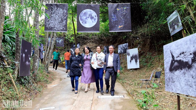Người dân Đà Lạt và du khách trải nghiệm "cung đường nghệ thuật".