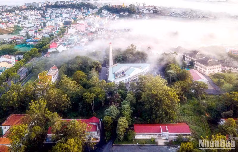 Trường Đại học Đà Lạt có nhiều đóng góp cho sự phát triển vùng Tây Nguyên và cả nước ảnh 2