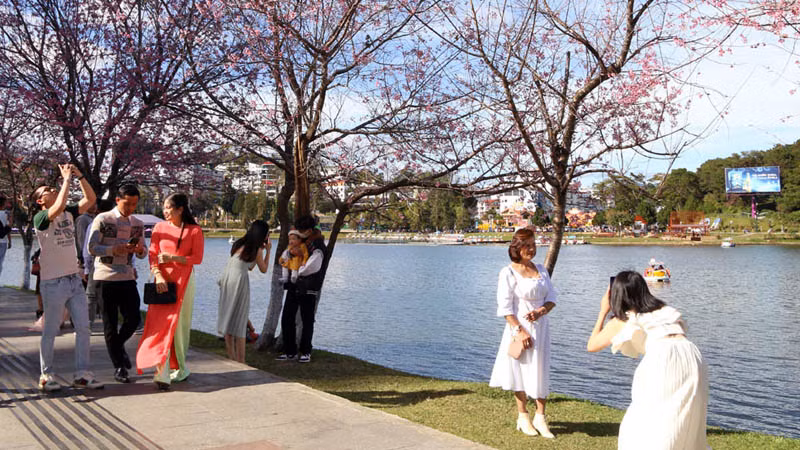 Xứ ngàn hoa Đà Lạt hấp dẫn du khách.