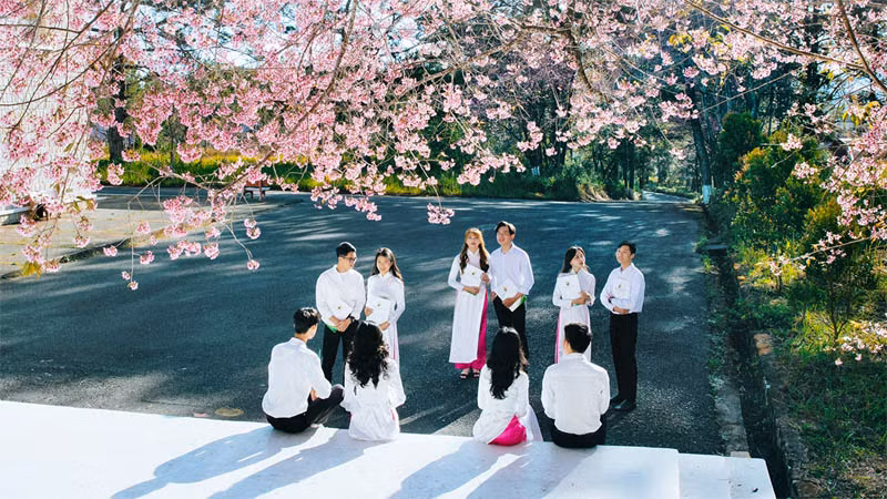 Trường Đại học Đà Lạt luôn nằm trong top 30 trường đại học hàng đầu cả nước.