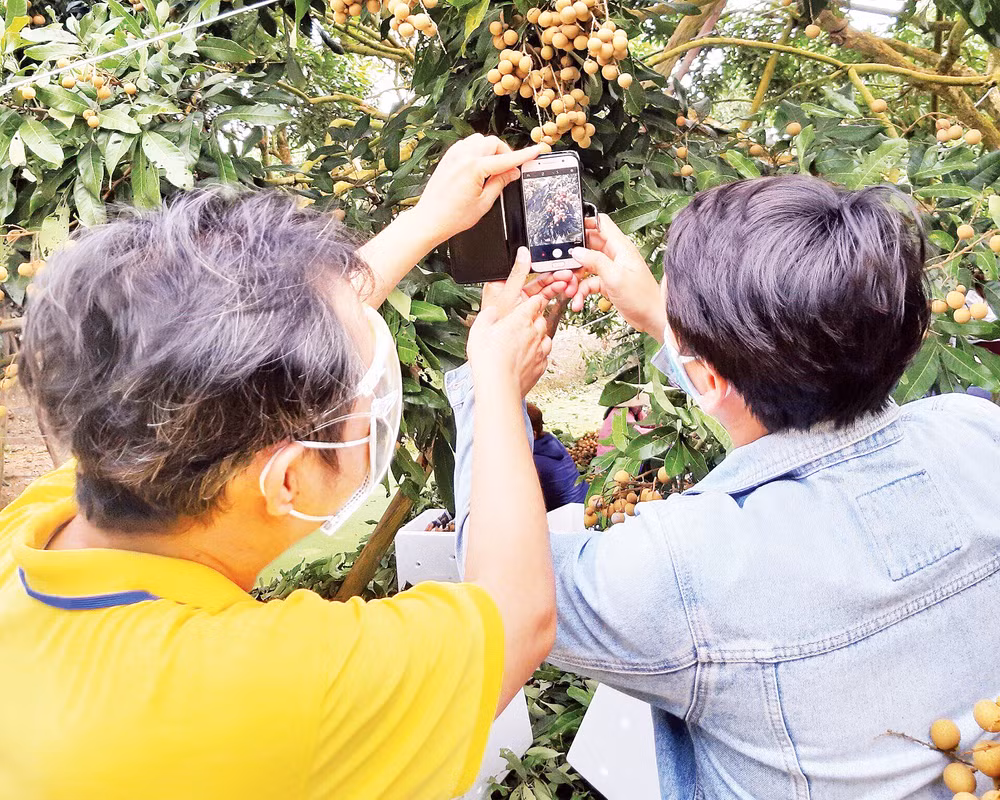 Nhân viên VNPost hướng dẫn người nông dân đưa các mặt hàng nông sản lên sàn thương mại điện tử.