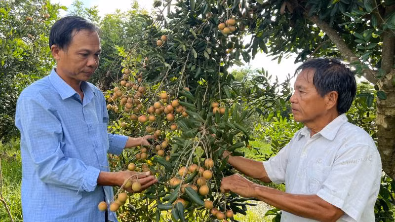Hội viên nông dân tỉnh Bến Tre sẽ được tiếp cận nguồn vốn ưu đãi để phát triển kinh tế. (Ảnh: HOÀNG TRUNG)