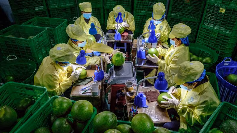 Cuộc thi ảnh nghệ thuật nội dung chú trọng phát triển kinh tế, văn hóa, xã hội của tỉnh Bến tre. (Ảnh: TRUNG HIẾU)