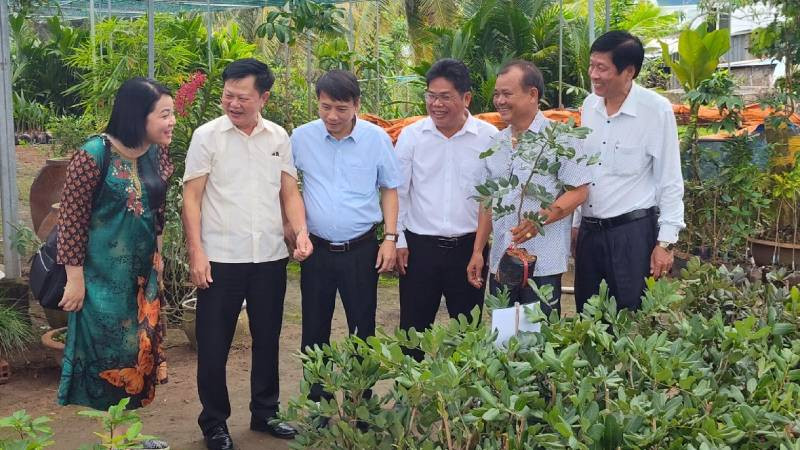 Hội Nông dân các tỉnh, thành phố vùng Đồng bằng sông Cửu Long tham quan mô hình sản xuất cây giống tại huyện Chợ Lách, tỉnh Bến Tre. (Ảnh: HOÀNG TRUNG)