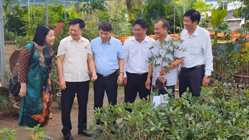 Hội Nông dân các tỉnh, thành phố vùng Đồng bằng sông Cửu Long tham quan mô hình sản xuất cây giống tại huyện Chợ Lách, tỉnh Bến Tre. (Ảnh: HOÀNG TRUNG)