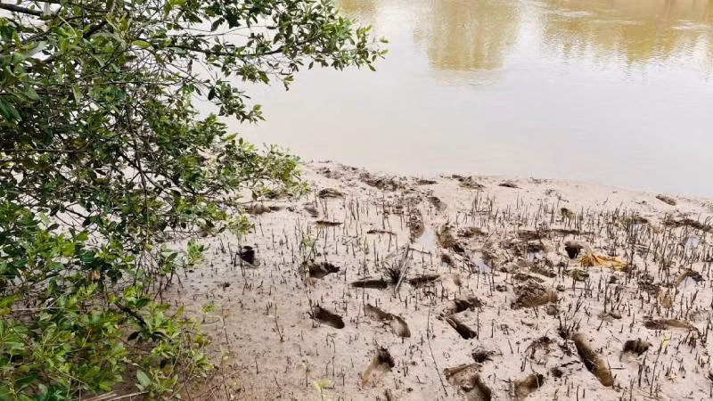 Hiện trường xảy ra vụ đuối nước thương tâm khiến 2 em học sinh tử vong.