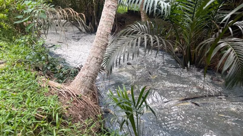 Nước ở các mương vườn của người dân bị ô nhiễm nặng.