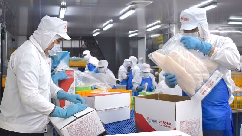 Tỉnh Bến Tre kêu gọi thu hút đầu tư chế biến nông, thủy sản. (Ảnh: HOÀNG TRUNG)