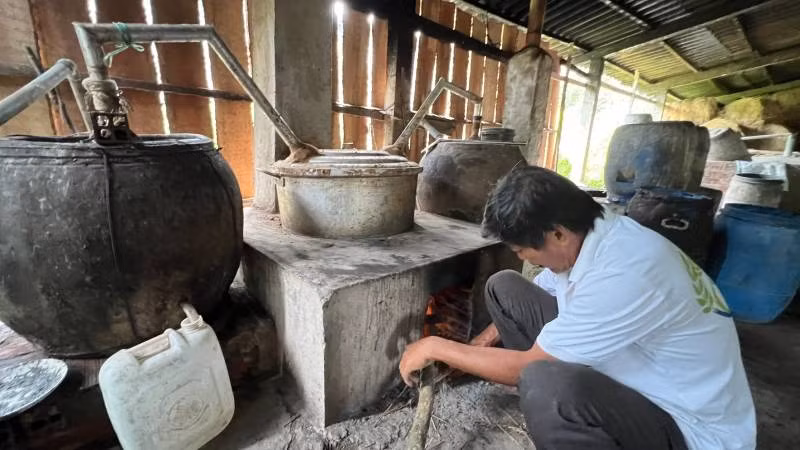 Người dân nông thôn hay sử dụng rượu nấu theo kiểu truyền thống, không nhãn mác, không kiểm tra chất lượng nên thường xảy ra ngộ độc rượu.