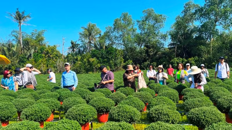 Vùng sản xuất hoa, cây kiểng huyện Chợ Lách (tỉnh Bến Tre) đang được mời gọi đầu tư phát triển du lịch.