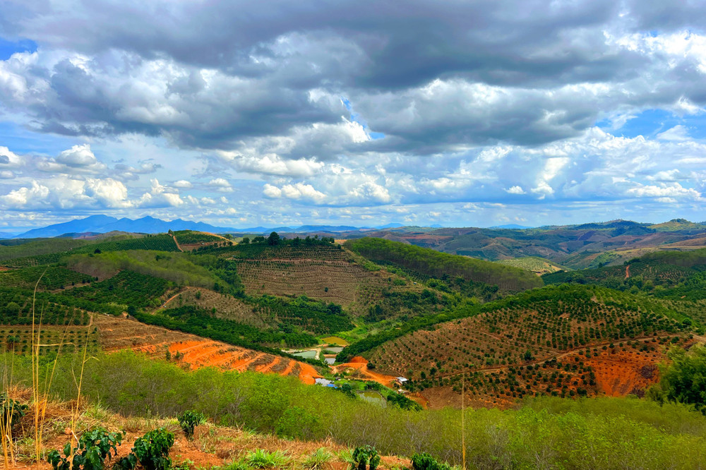 Ngành Y tế Phú Quốc Được Tích Cực Nâng Cấp Nhờ Hỗ Trợ Từ Bệnh viện Chợ Rẫy 4 Ngành Y tế Phú Quốc Được Tích Cực Nâng Cấp Nhờ Hỗ Trợ Từ Bệnh viện Chợ Rẫy