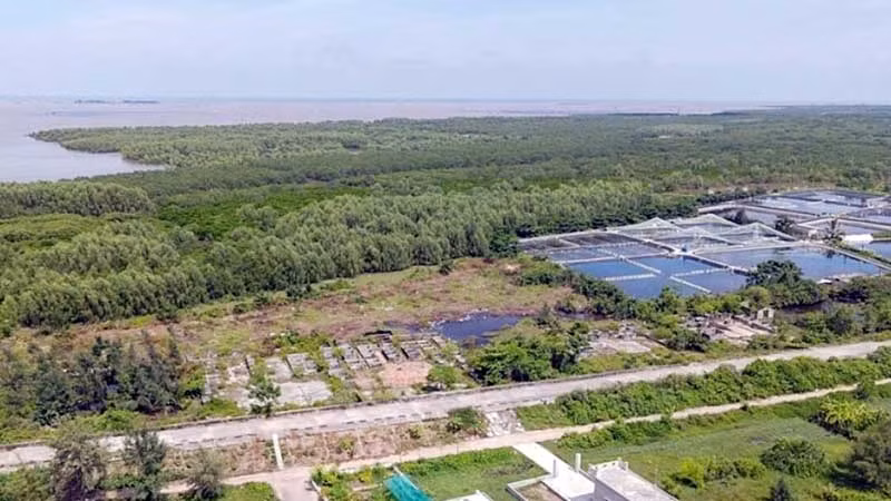 Rừng đặc dụng tại xã Nam Hưng, huyện Tiền Hải, tỉnh Thái Bình.