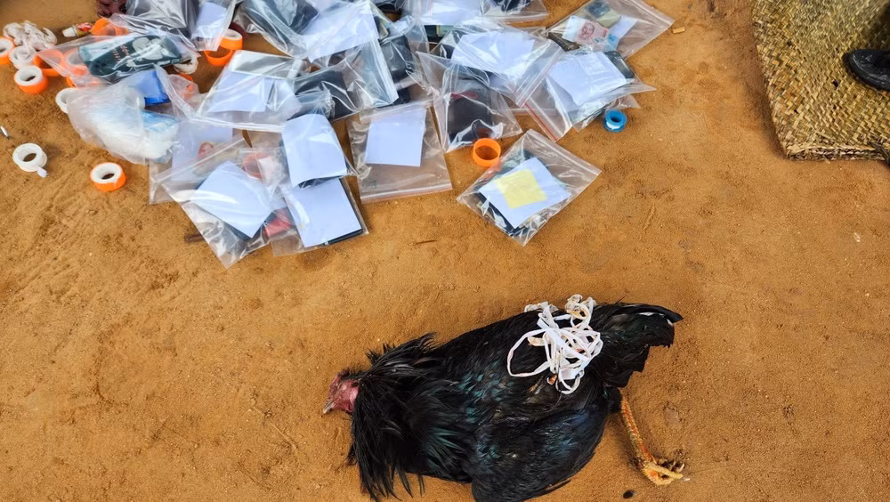 Tang vật liên quan tới việc đá gà ăn tiền.