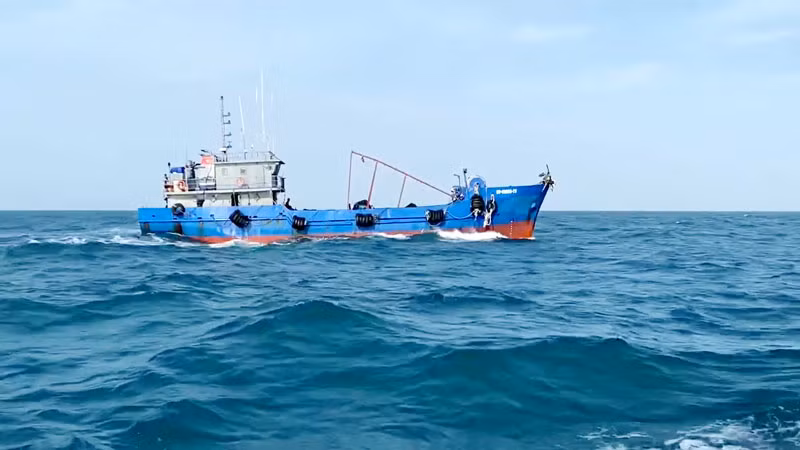 Tàu cá mang số hiệu BV 99889 TS chở khoảng 100.000 lít dầu DO không có giấy tờ chứng minh nguồn gốc hợp pháp của hàng hóa. 