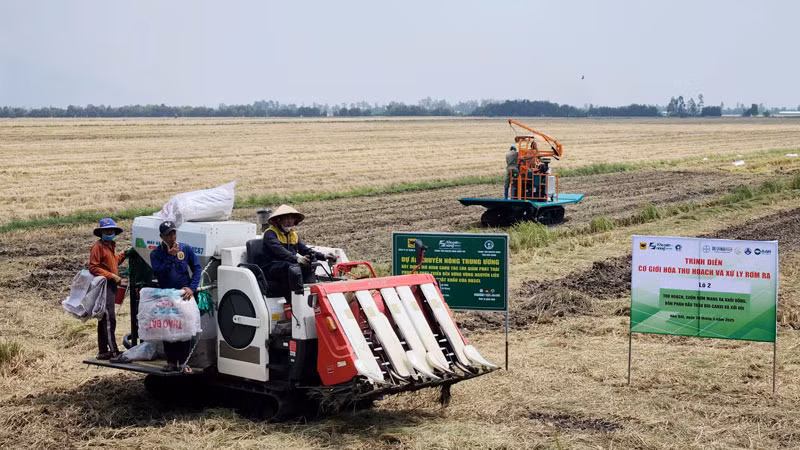 Thiết bị cơ giới trình diễn thu hoạch lúa.
