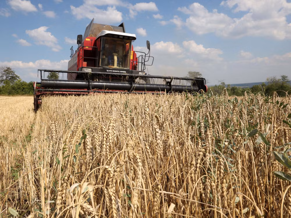 EU trở thành tuyến đường vận chuyển chính của ngũ cốc Ukraine kể từ khi Nga chấm dứt “Thỏa thuận ngũ cốc Biển Đen”. Ảnh | Anatoli Stepanov/ AFP 