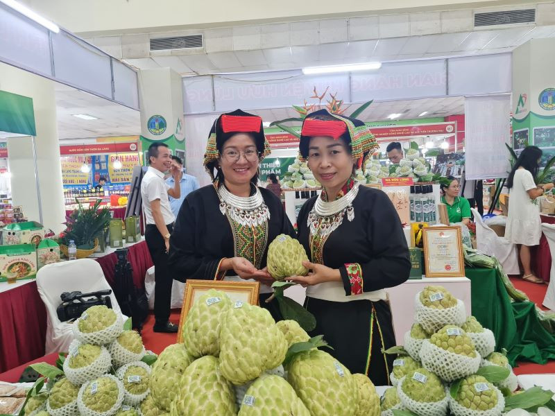 Gian hàng quảng bá, giới thiệu na Chi Lăng - sản vật bậc nhất xứ Lạng từ vách núi đá vôi và các nông đặc sản, sản phẩm OCOP tỉnh Lạng Sơn.
