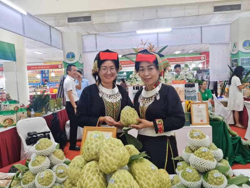 Gian hàng quảng bá, giới thiệu na Chi Lăng - sản vật bậc nhất xứ Lạng từ vách núi đá vôi và các nông đặc sản, sản phẩm OCOP tỉnh Lạng Sơn.