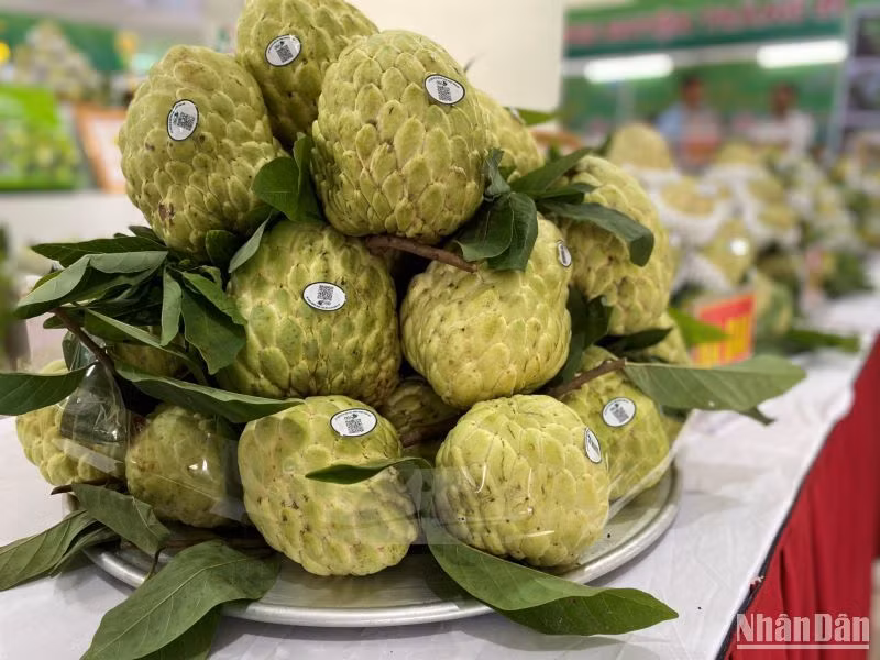 Na Chi Lăng, trái cây được thị trường trong nước rất ưa chuộng và đang vươn mạnh sang thị trường các quốc gia như: Trung Quốc, Australia, Nhật Bản, Hàn Quốc… và được đánh giá cao về mẫu mã cũng như chất lượng.