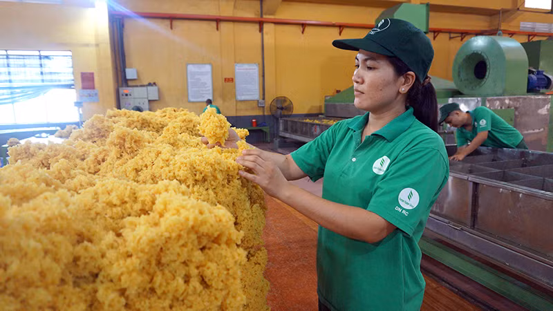 Công nhân chế biến mủ cao-su tại Nhà máy chế biến An Lộc (Công ty TNHH một thành viên Tổng công ty Cao-su Đồng Nai).