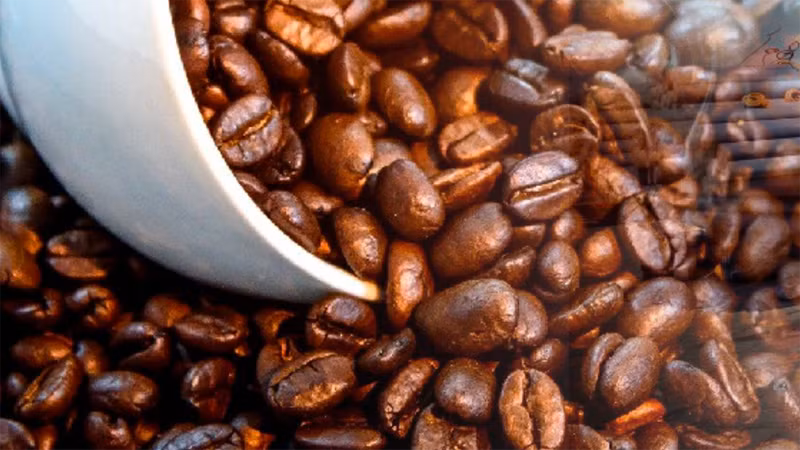 Tồn kho giảm làm gia tăng lo ngại thiếu hụt nguồn cung, giá cà-phê Robusta tăng trở lại