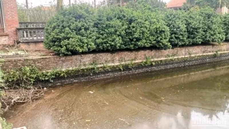 Môi trường sống ở Bách Thuận bị tác động lớn từ việc xả thải chất thải, nước thải chưa qua xử lý ra ao hồ.