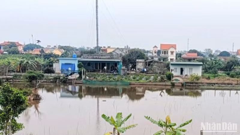 Hướng chăn nuôi bền vững, an toàn sinh học vẫn là bài toán khó đặt ra tại "thủ phủ" chăn nuôi lợn Bách Thuận (Vũ Thư, Thái Bình).