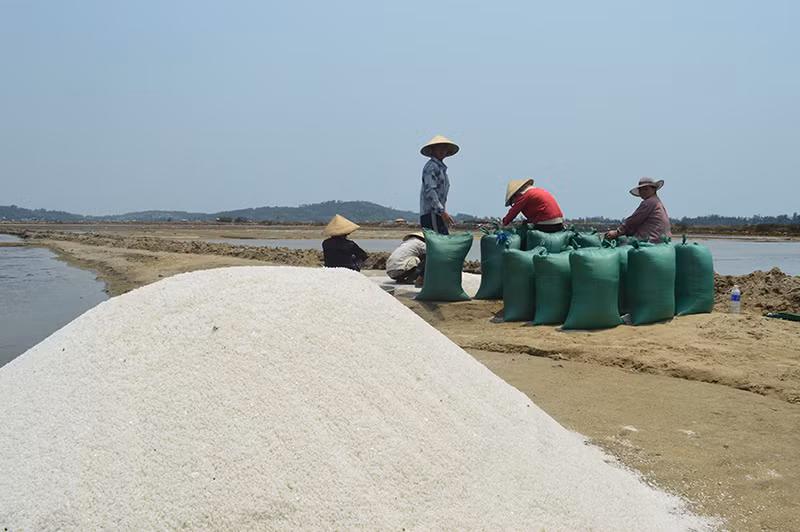 Theo Sở Nông nghiệp và Nông thôn tỉnh Quảng Ngãi, việc cải tạo, nâng cấp hạ tầng đồng muối Sa Huỳnh là hết sức cần thiết, góp phần phát triển đời sống của diêm dân.