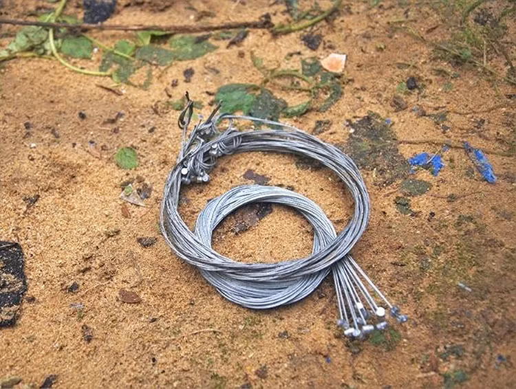 Bẫy thú được phát hiện tại rừng phòng hộ Ba Tơ.