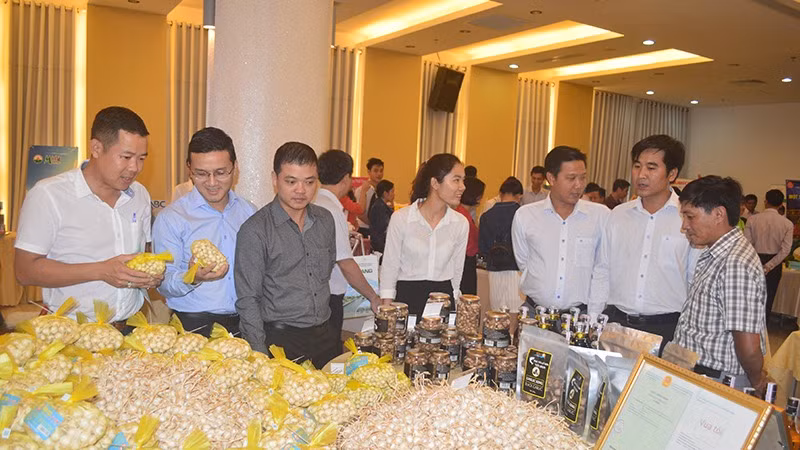 Hành, tỏi Lý Sơn, sản phẩm OCOP đặc trưng của tỉnh Quảng Ngãi.