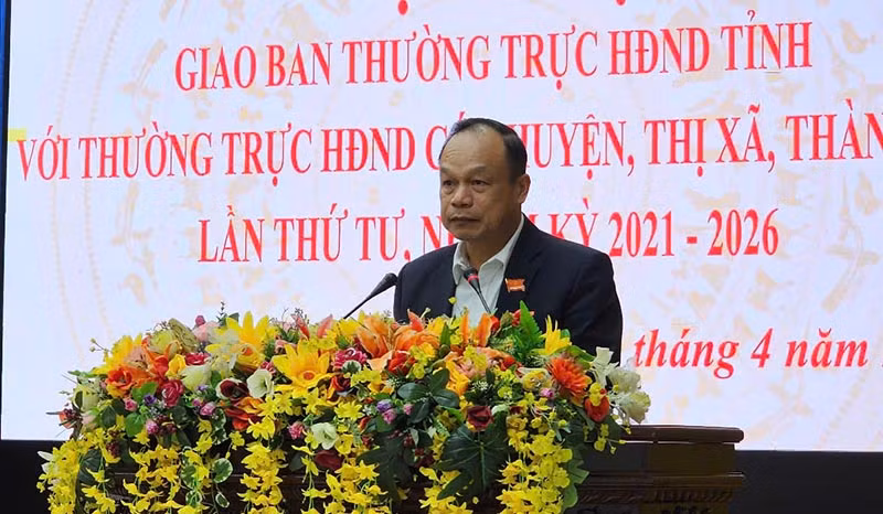 Đại diện Ủy ban nhân dân tỉnh trình bày tham luận tại hội nghị.