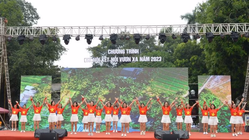 Hội viên, phụ nữ tham gia trình diễn trong chương trình.