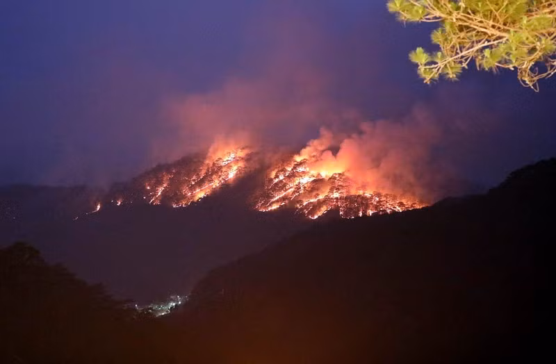 Hiện trường vụ cháy rừng vào ngày 7/4 tại đèo Prenn-Đà Lạt, Lâm Đồng. (Ảnh: Bảo Văn)