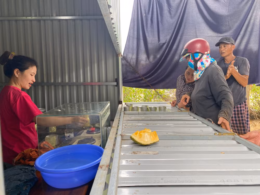 Điểm thu mua mủ cao su đang thử độ mủ để trả tiền cho người bán. Điểm thu mua mủ cao su đang thử độ mủ để trả tiền cho người bán.