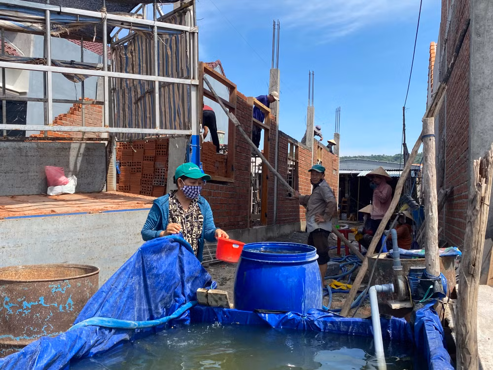 Xã An Hiệp, huyện Tuy An kịp thời giải quyết cấp nước cho người dân tái định cư xây dựng nhà ở mới. Xã An Hiệp, huyện Tuy An kịp thời giải quyết cấp nước cho người dân tái định cư xây dựng nhà ở mới.