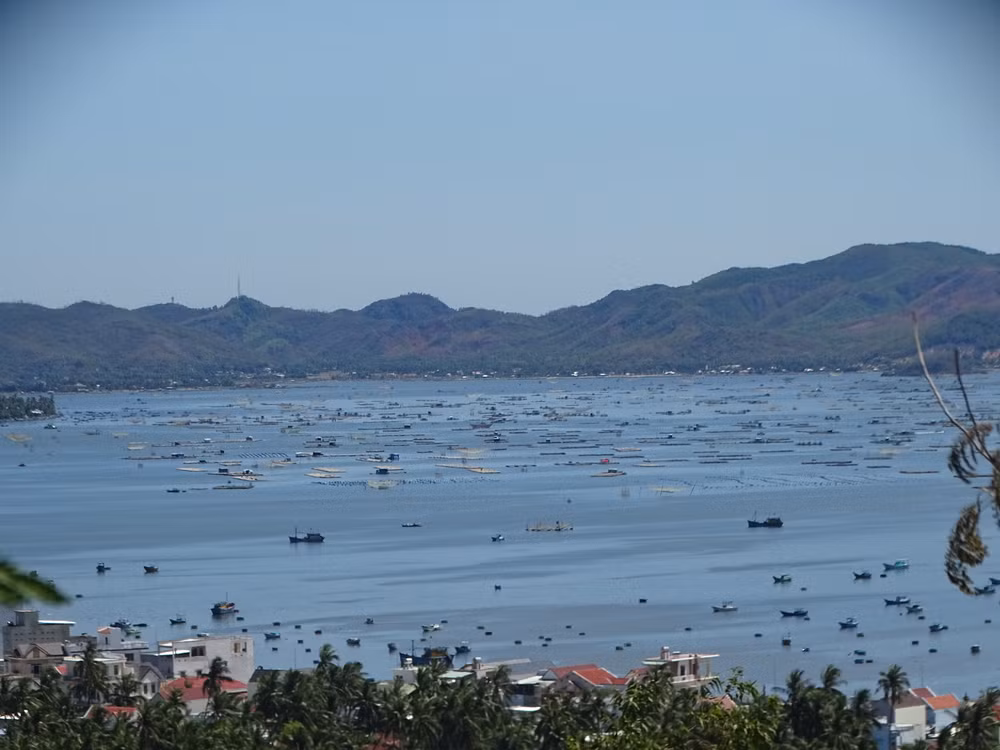 Một góc Vịnh Xuân Đài- một trong những vịnh đẹp nổi tiếng ở thị xã Sông Cầu, Phú Yên.