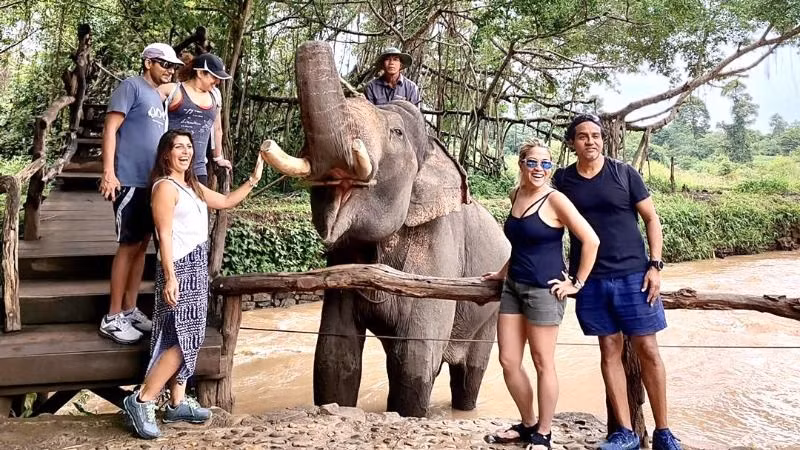Du khách nước ngoài chụp hình với voi nhà ở Trung tâm Du lịch cầu treo Buôn Đôn. Du khách nước ngoài chụp hình với voi nhà ở Trung tâm Du lịch cầu treo Buôn Đôn.