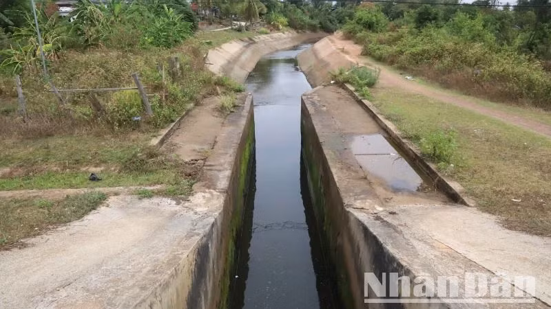 Công ty trách nhiệm hữu hạn một thành viên quản lý công trình thủy lợi Đắk Lắk chỉ đạo chi nhánh huyện Ea Súp tận dụng nguồn nước còn lại của Hồ Ea Súp Thượng để tưới đợt cuối cho những diện tích lúa gieo sạ muộn trên địa bàn.