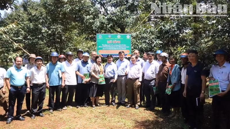 Các mô hình hướng dẫn nông dân sản xuất nông nghiệp thích ứng với biến đổi khí hậu cũng được tổ chức ngày càng nhiều.