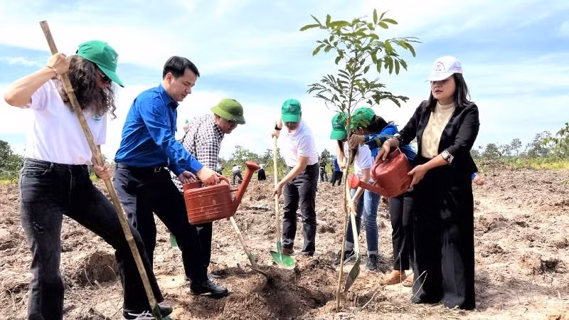 Những năm gần đây, công tác trồng rừng cũng được các cấp, các ngành tỉnh Đắk Lắk quan tâm để góp phần chống biến đổi khí hậu.