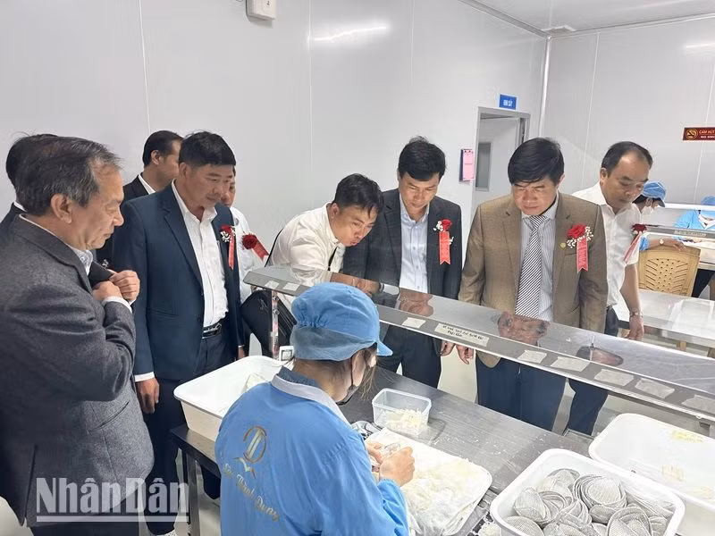 Các đại biểu tham quan cơ sở chế biến tổ yến của Công ty cổ phần xuất nhập khẩu yến sào Thành Dung-Krông Pắc.
