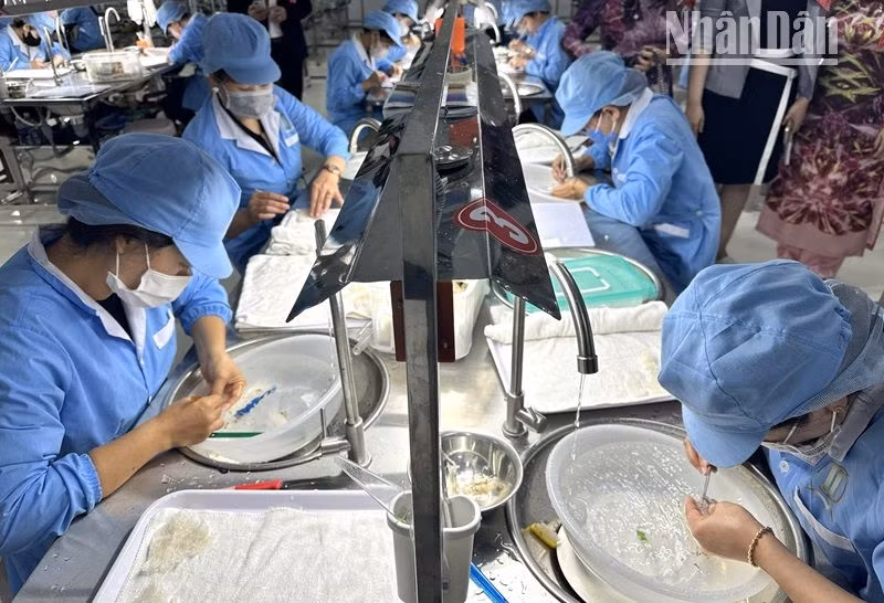 Chế biến các sản phẩm tổ yến Công ty cổ phần xuất nhập khẩu yến sào Thành Dung-Krông Pắc.