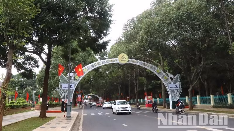 Sau 50 giải phóng, thành phố Buôn Ma Thuột là đô thị có tỷ lệ cây xanh cao nhất so với các đô thị trong cả nước.