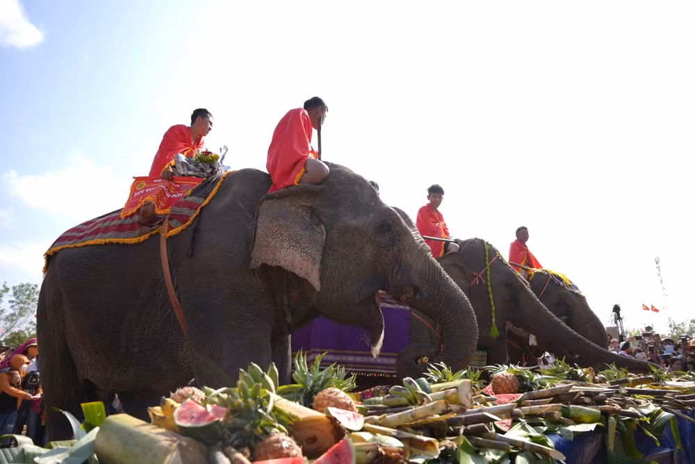Tiệc buffet cho voi nhà. (Ảnh: CTV)