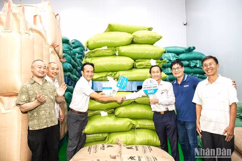 Các đơn vị tham gia đấu giá trong cuộc đấu giá cà-phê đặc sản đầu tiên tại Việt Nam năm 2023.