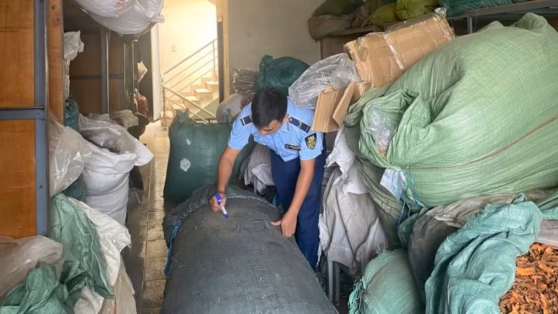 Lực lượng quản lý thị trường tỉnh Đắk Lắk phát hiện hơn 500kg dược liệu của Công ty Trách nhiệm hữu hạn dược liệu Vinh Thoa có địa chỉ tại 127 Lê Thánh Tông, phường Thành Công, thành phố Buôn Ma Thuột không rõ nguồn gốc, xuất xứ. (Ảnh: Quản lý thị trường tỉnh Đắk Lắk)